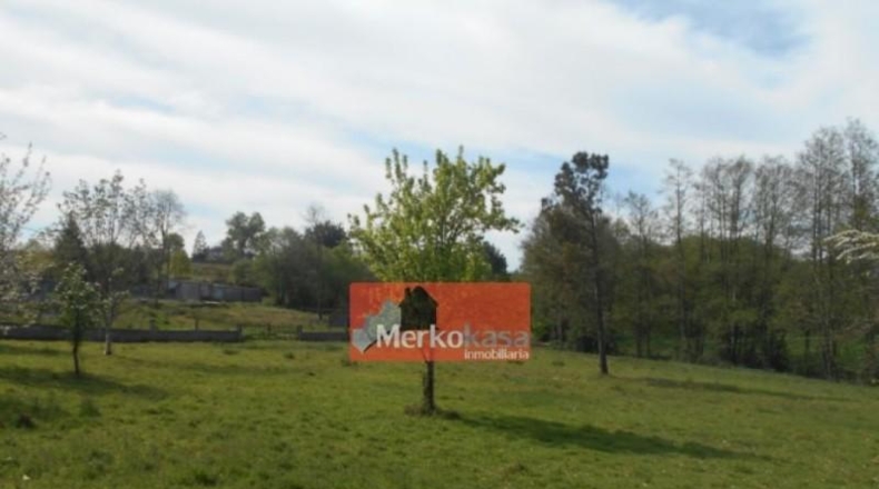 Lugo - Lugo - 7000m2