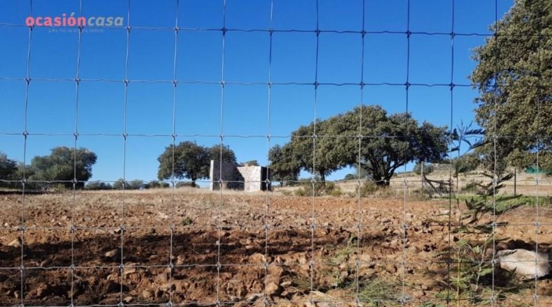 Córdoba - Santa Eufemia - 50000m2
