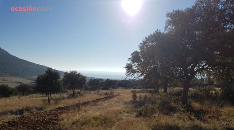 Córdoba - Santa Eufemia - 50000m2