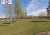 Terreny no urbanitzable en venda a la España, Peralta, ref.: TR116469 foto