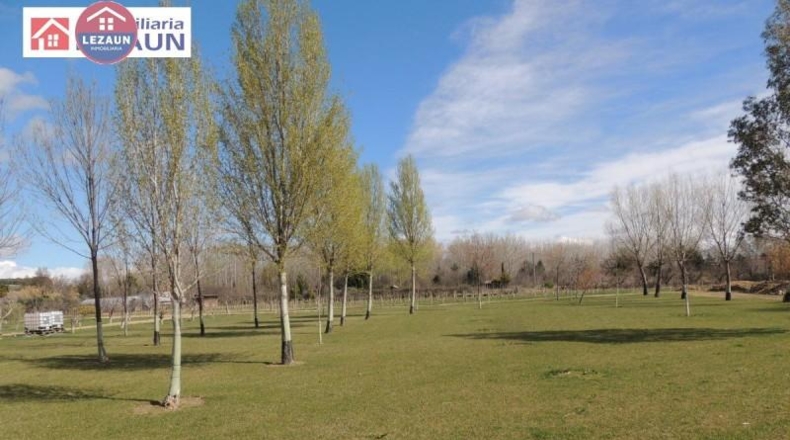 Navarra - Peralta - 15760m2