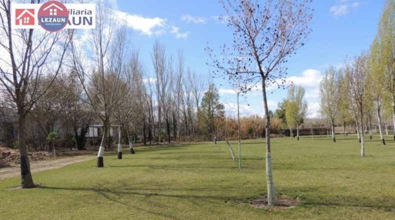 Navarra - Peralta - 15760m2