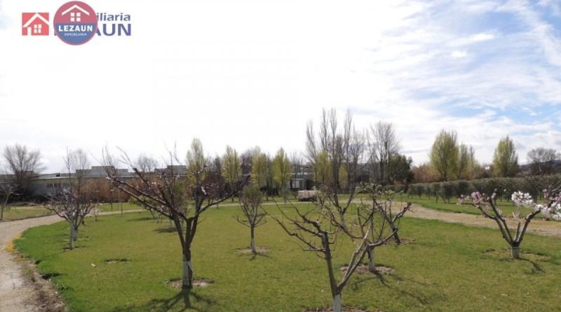 Navarra - Peralta - 15760m2