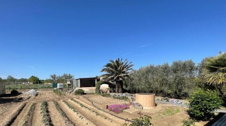 Navarra - Corella - 1900m2