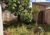 Дом с участком на продажу в городе Fuente Obejuna Фото