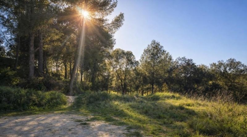 Valencia - Montaverner - 30843m2