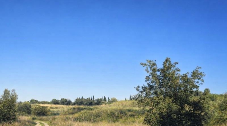 Valencia - Montaverner - 30843m2