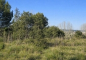 Terreno no urbanizable en venta en la España, Montaverner, ref: TR406926 foto