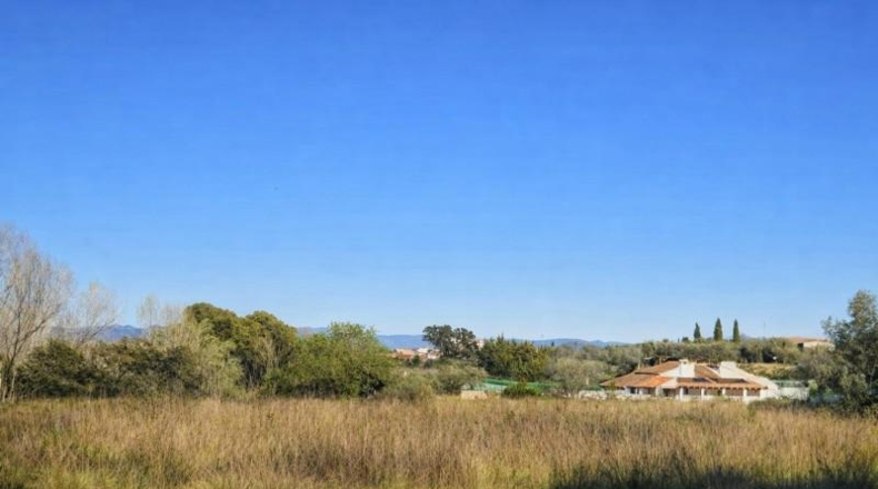 Valencia - Montaverner - 30843m2