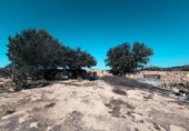 Xalet independent amb terreny en venda a la España, Almansa, ref.: TR411143 foto