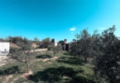 Xalet independent amb terreny en venda a la España, Almansa, ref.: TR411143 foto