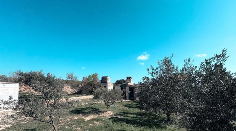 Albacete - Almansa - 120m2