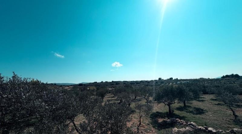 Albacete - Almansa - 120m2