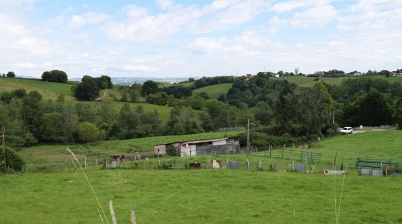 Asturias - Oviedo - 5000m2