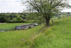 Oviedo 5000&nbsp;m²