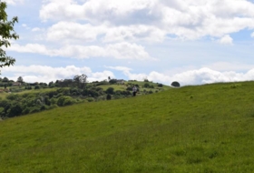 Oviedo 5000&nbsp;m²