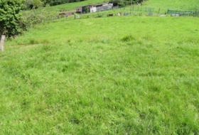 Oviedo 5000&nbsp;m²