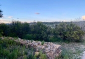 Detached villa with land for sale on España, Masdenverge, ref: TR302890 photo