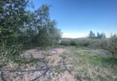 Detached villa with land for sale on España, Masdenverge, ref: TR302890 photo