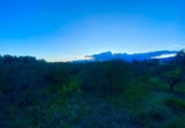 Detached villa with land for sale on España, Masdenverge, ref: TR302890 photo