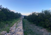 Detached villa with land for sale on España, Masdenverge, ref: TR302890 photo