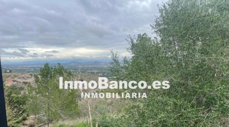 València - Torrente - 1000m2