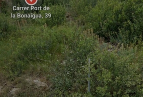 Foto 12