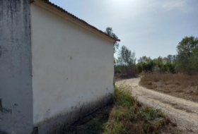 Foto 15