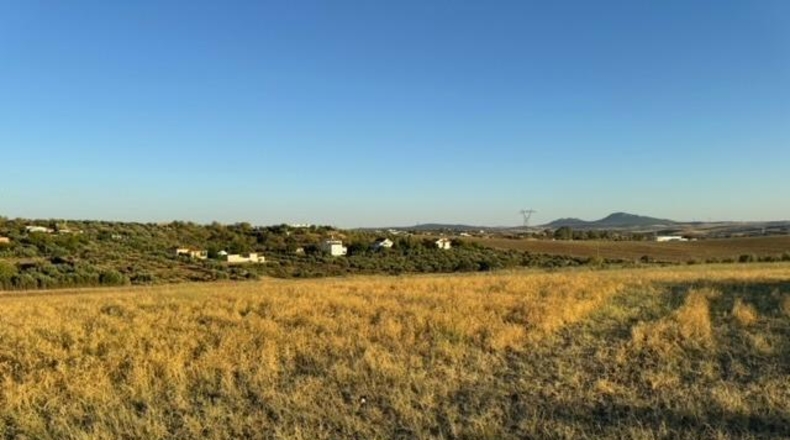 Badajoz - Mérida - 22000m2