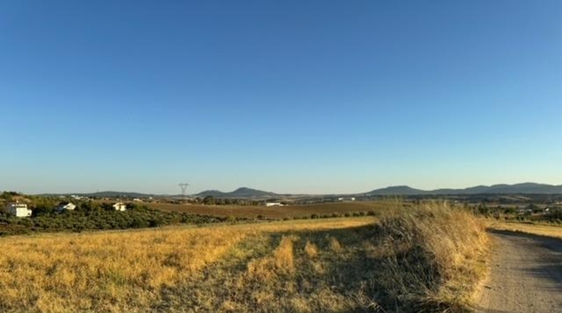 Badajoz - Mérida - 22000m2