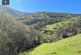 Foto 12