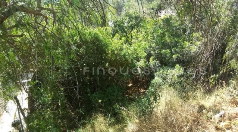 Barcelona - Vacarisses - 419m2