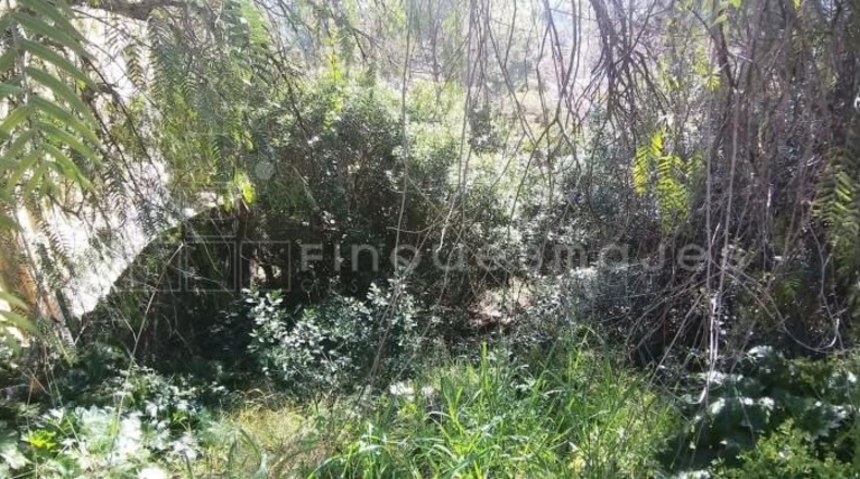 Barcelona - Vacarisses - 419m2