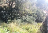 Suelo urbano en venta en la España, Vacarisses, ref: TR237586 foto