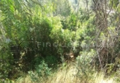 Suelo urbano en venta en la España, Vacarisses, ref: TR237586 foto