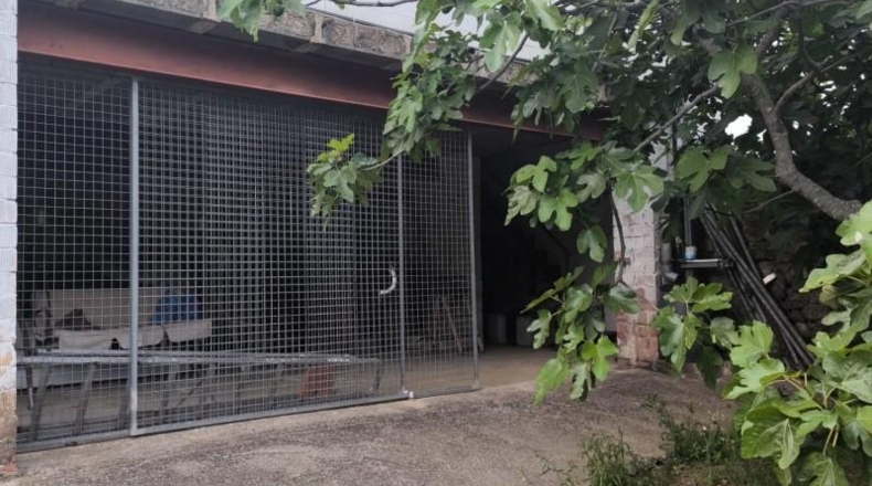 Cordova - Fuente Obejuna - 1000m2