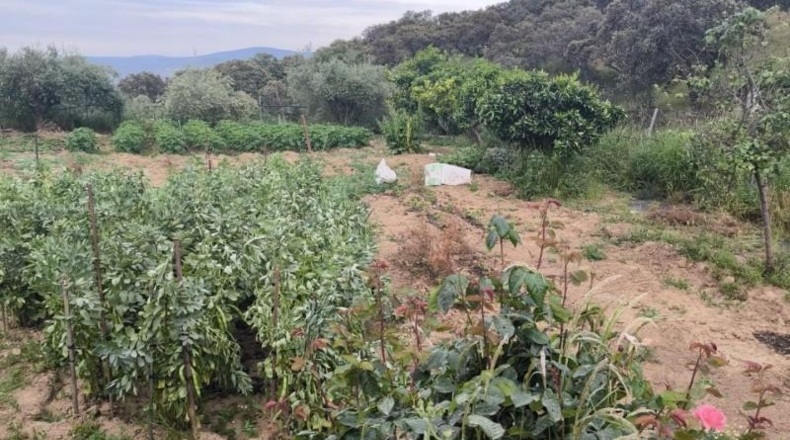 Cordova - Fuente Obejuna - 1000m2