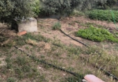 Country house with land for sale on España, Fuente Obejuna, ref: TR406892 photo