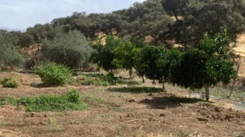 Cordova - Fuente Obejuna - 1000m2