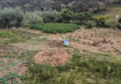 Country house with land for sale on España, Fuente Obejuna, ref: TR406892 photo