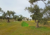 Xalet independent amb terreny en venda a la España, Montijo, ref.: TR399991 foto