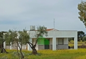 Xalet independent amb terreny en venda a la España, Montijo, ref.: TR399991 foto