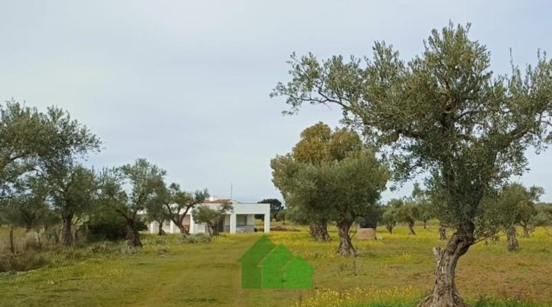 Badajoz - Montijo - 12522m2