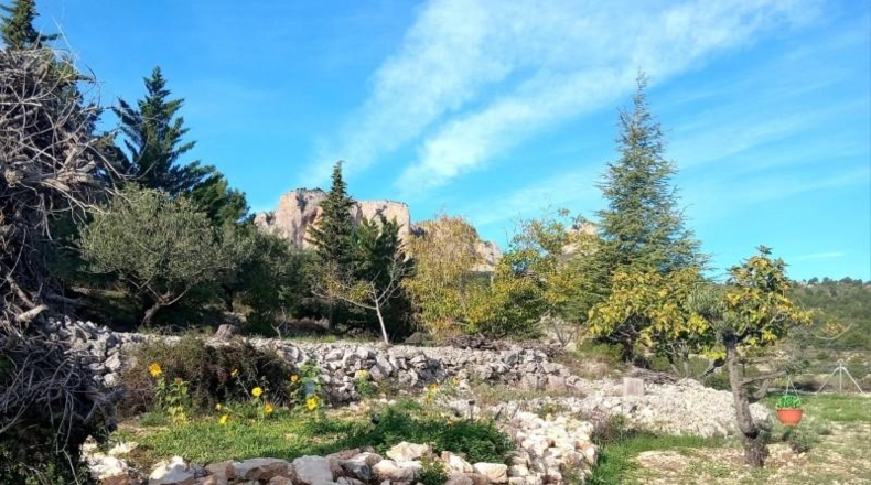 Alicante - Бенифато - 7352m2