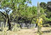Chalet independiente con terreno en venta en la España, Benifato, ref: TR353078 foto