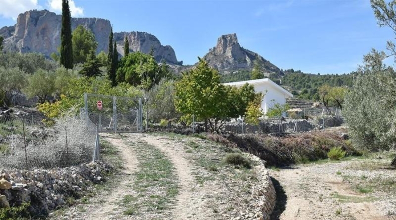 Alicante - Бенифато - 7352m2