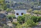 Chalet independiente con terreno en venta en la España, Benifato, ref: TR353078 foto