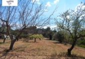 Parcela urbanizable en venta en la España, Ontinyent, ref: TR409526 foto