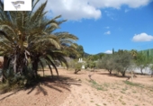 Parcela urbanizable en venta en la España, Ontinyent, ref: TR409526 foto