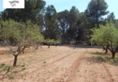 Parcela urbanizable en venta en la España, Ontinyent, ref: TR409526 foto
